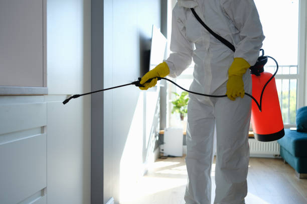 Best Mold Testing  in Forest, OH