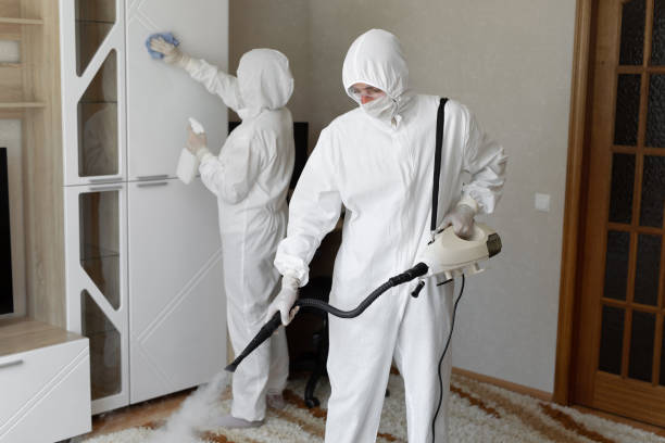 Best Certified Mold Removal  in Forest, OH