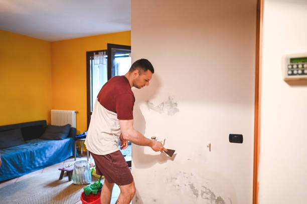 Best Same-Day Mold Removal  in Forest, OH